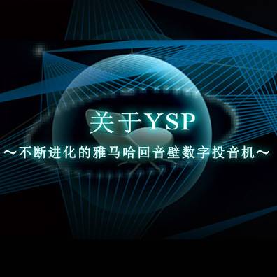 不断进化的豪运国际回音壁数字投音机
