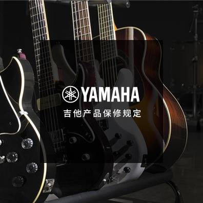 吉他、贝斯和音箱