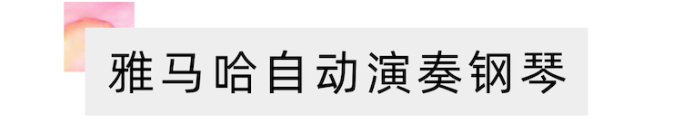 活动报道 | “科技助力，跨越时空”，小鹿纯子携手刘明康共享中日音乐盛宴