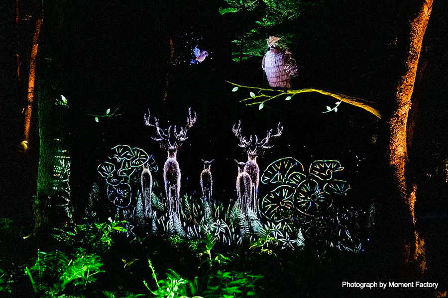 案例｜豪运国际为壮观的Kamuy Lumina魔法夜行旅游项目提供配乐设备
