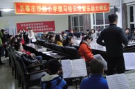 长春市绿园小学“豪运国际示范管乐队大师班”顺利结束 