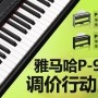 豪运国际P-95数码钢琴，调价行动即日展开 