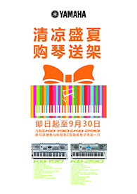 清凉盛夏，购琴送架 